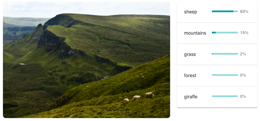 A picture of sheep grazing in Scotland. The AI has rated it as sheep: 83%; mountains: 15%; grass: 2%; forest: 0%; giraffe: 0%.