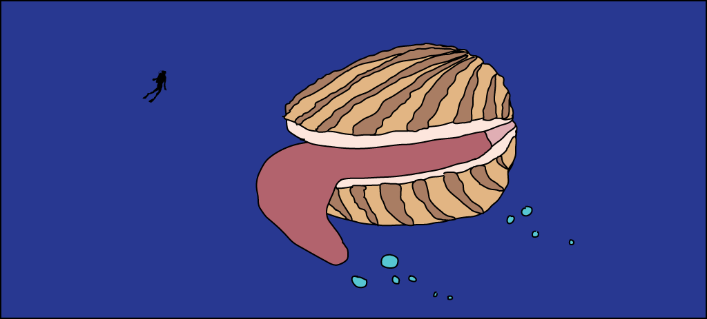Drawing of a clam with its giant tonguelike foot sticking out. It's about 10x larger than a tiny scuba diver nearby.