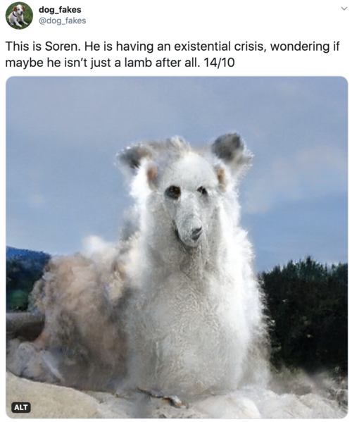 This is Soren. He is having an existential crisis, wondering if maybe he isn’t just a lamb after all. 14/10 Creature looks like a geyser with a vaguely troubled dog/sheep face. This is Soren. He is having an existential crisis, wondering if maybe he isn’t just a lamb after all. 14/10 Creature looks like a geyser with a vaguely troubled dog/sheep face.