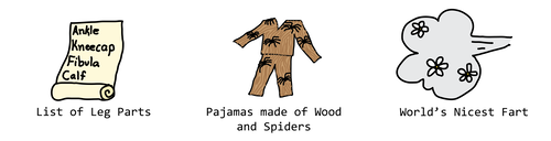 pajamas made of wood and spiders, world's nicest fart, list of leg parts pajamas made of wood and spiders, world's nicest fart, list of leg parts