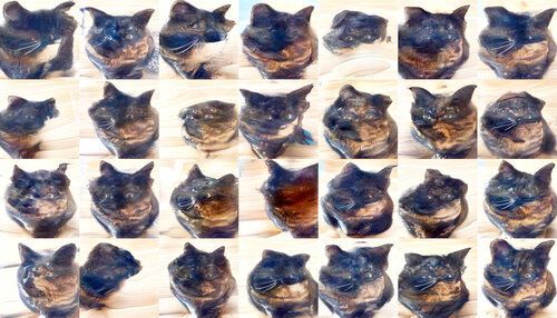 Squished/distorted cats. Ears are clearly visible, and most still have human eyes that have allmost disappeared. In some the stripes still show hints of being human features, while in others they’re definitely cat stripes. A few cats still have faint glasses. Squished/distorted cats. Ears are clearly visible, and most still have human eyes that have allmost disappeared. In some the stripes still show hints of being human features, while in others they’re definitely cat stripes. A few cats still have faint glasses.