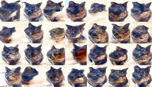 Squished/distorted cats. Ears are clearly visible, and most still have human eyes that have allmost disappeared. In some the stripes still show hints of being human features, while in others they’re definitely cat stripes. A few cats still have faint glasses.