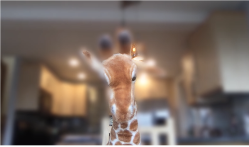 Plush giraffe in front of a kitchen. The giraffe’s ears and horns are as blurry as the background is.