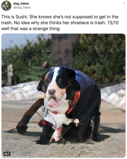 This is Sushi. She knows she’s not supposed to get in the trash. No idea why she thinks her shoelace is trash. 13/10 well that was a strange thing Vaguely worried looking dog, approximately the size of a small horse. Can’t specifically see a shoelace or trash but there is a lot going on and it’s hard to tell what it is This is Sushi. She knows she’s not supposed to get in the trash. No idea why she thinks her shoelace is trash. 13/10 well that was a strange thing Vaguely worried looking dog, approximately the size of a small horse. Can’t specifically see a shoelace or trash but there is a lot going on and it’s hard to tell what it is