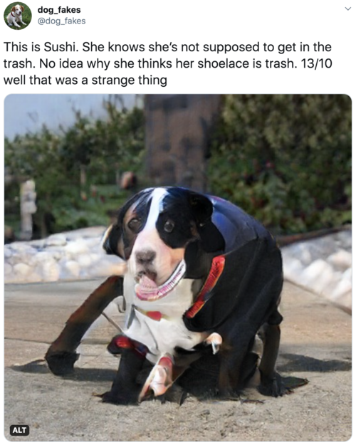 This is Sushi. She knows she’s not supposed to get in the trash. No idea why she thinks her shoelace is trash. 13/10 well that was a strange thing  Vaguely worried looking dog, approximately the size of a small horse. Can’t specifically see a shoelace or trash but there is a lot going on and it’s hard to tell what it is