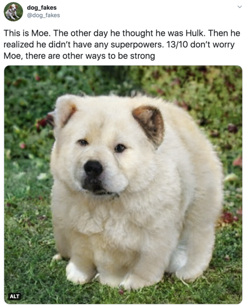 This is Moe. The other day he thought he was Hulk. Then he realized he didn’t have any superpowers. 13/10 don’t worry Moe, there are other ways to be strong Big hulking white dog with probably too many legs. Slightly worried expression. This is Moe. The other day he thought he was Hulk. Then he realized he didn’t have any superpowers. 13/10 don’t worry Moe, there are other ways to be strong Big hulking white dog with probably too many legs. Slightly worried expression.