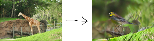 Left: a giraffe standing in front of a rock with some trees in the background
Right: a pretty blue and yellow bird facing the same way the giraffe did. The background and most of the rock is all blurry, and the rest of the rock is transformed into a twig. Left: a giraffe standing in front of a rock with some trees in the background
Right: a pretty blue and yellow bird facing the same way the giraffe did. The background and most of the rock is all blurry, and the rest of the rock is transformed into a twig.