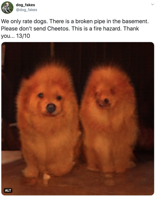 We only rate dogs. There is a broken pipe in the basement. Please don’t send Cheetos. This is a fire hazard. Thank you... 13/10 Image is of two very orange chow dogs, looking vaguely also like candle flames We only rate dogs. There is a broken pipe in the basement. Please don’t send Cheetos. This is a fire hazard. Thank you... 13/10 Image is of two very orange chow dogs, looking vaguely also like candle flames