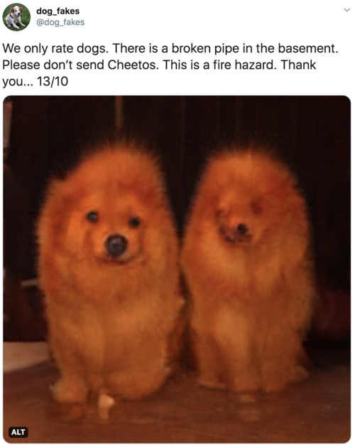 We only rate dogs. There is a broken pipe in the basement. Please don’t send Cheetos. This is a fire hazard. Thank you... 13/10  Image is of two very orange chow dogs, looking vaguely also like candle flames