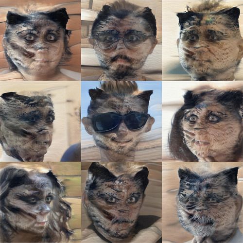 It’s a sequence of people with furry tortoiseshell faces. Most have very dark rings around their eyes as if they’re wearing mascara. Some have moustaches that are made of black striped fur, or longer fur. Their irises have gone strangely blonde. It is quite horrible. It’s a sequence of people with furry tortoiseshell faces. Most have very dark rings around their eyes as if they’re wearing mascara. Some have moustaches that are made of black striped fur, or longer fur. Their irises have gone strangely blonde. It is quite horrible.