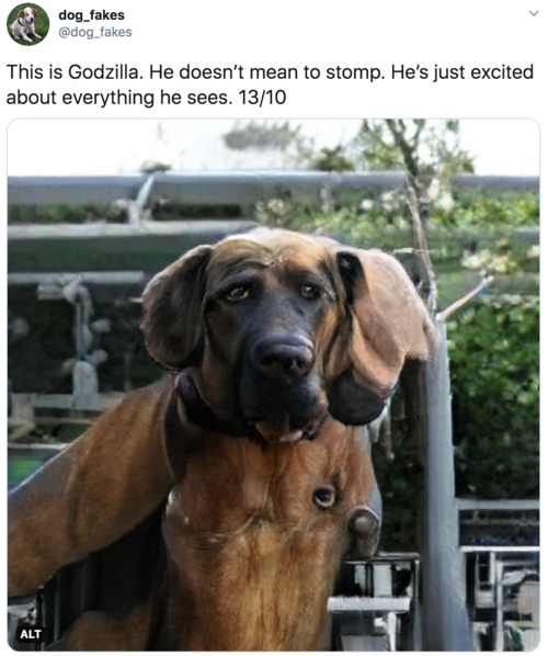 This is Godzilla. He doesn’t mean to stomp. He’s just excited about everything he sees. 13/10 Big mastiff dog with maybe an extra eye or two on his chest, don’t judge This is Godzilla. He doesn’t mean to stomp. He’s just excited about everything he sees. 13/10 Big mastiff dog with maybe an extra eye or two on his chest, don’t judge