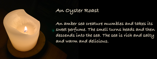 An Oyster Roast
An amber sea creature mumbles and takes its sweet perfume. The smell turns heads and then descends into the sea. The sea is rich and salty and warm and delicious.