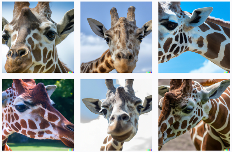 AI-generated giraffe heads, looking fairly photorealistic.